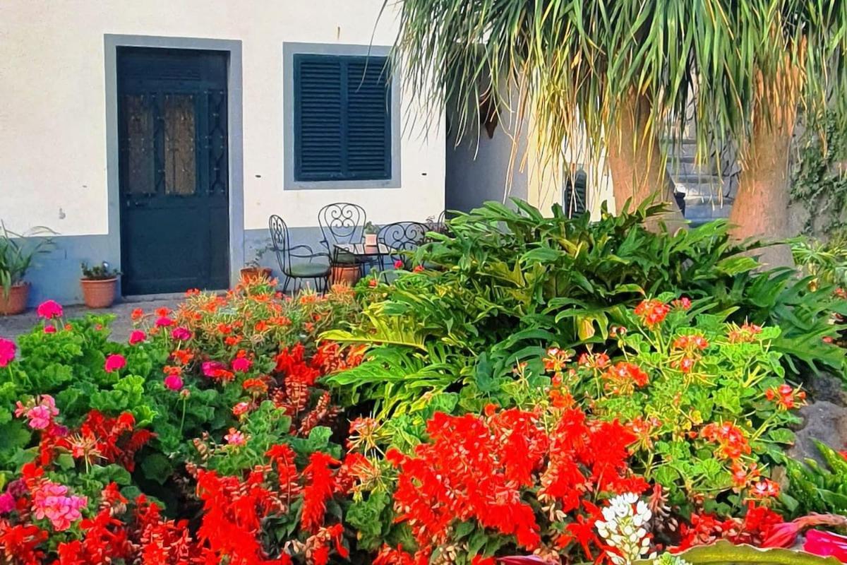 Ferienwohnung Loft In Calheta  Exterior foto